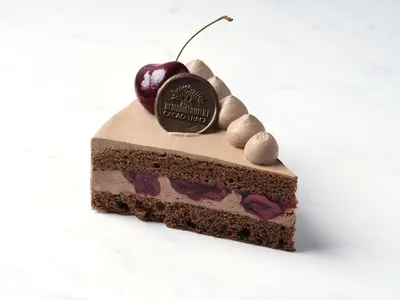 Gâteau à la crème fraîche au chocolat