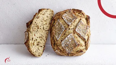 Sourdough Guide: Everything you need to know about sourdough