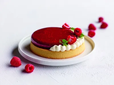 Topfil Raspberry 60% Fruit Filling