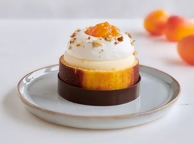 Topfil Apricot Filling