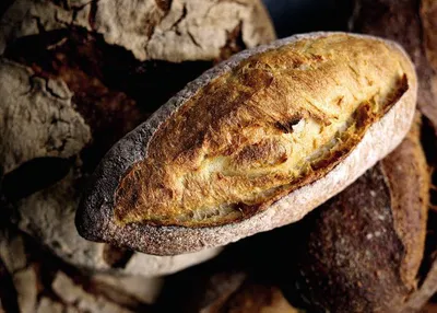 Extendo - Inactive Yeast