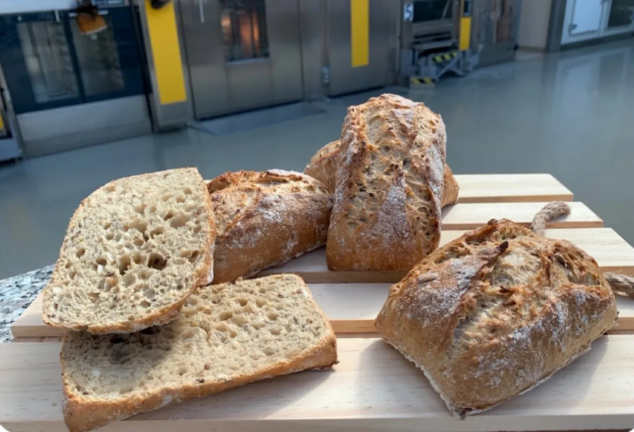 Puravita Fibre + Loaf - Puratos