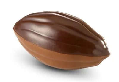 Belcolade Ganache