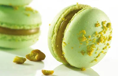 Summun Pistachio