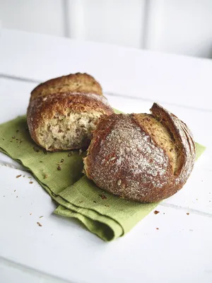 Softgrain Sprouted Rye Grains