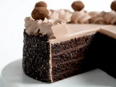 Tegral Chocolate Sponge