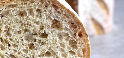Bread improvers