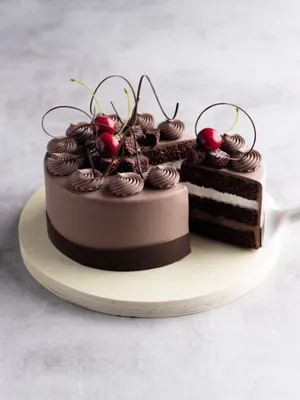 Tegral Satin Dark Moist Cake Mix