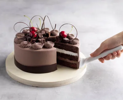 Satin Crème Cake Concentrate Chocolate