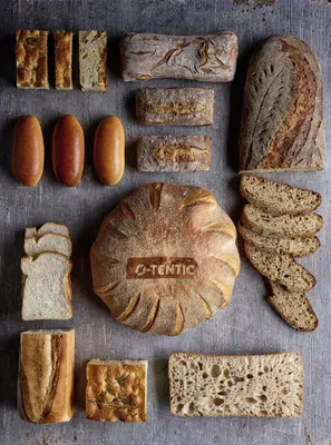 O-tentic Origin
