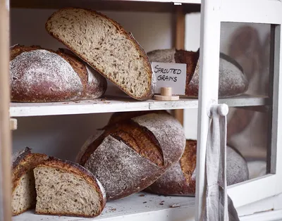 Sproutgrain Rye