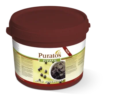 Vivafil Wild Blueberry Filling