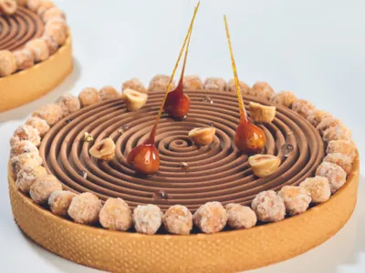 Gianduja Lait 36% Milk Chocolate and Hazelnut Paste - Cacao-Trace 