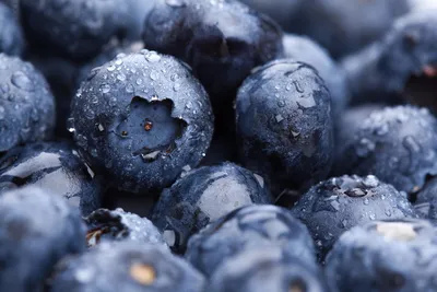 Topfil Wild Blueberry Filling