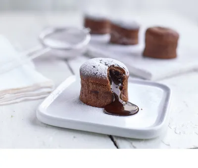 Tegral Chocolate Sponge